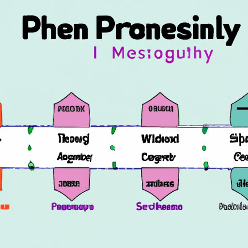 Understanding the Timeline to Becoming a Pharmacist