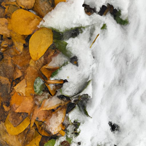 Changes in the Show Over the Seasons