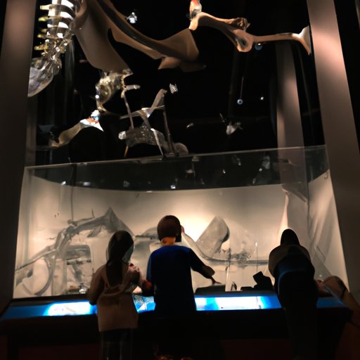 A Look into the Cost of Admission at the Houston Museum of Natural Science