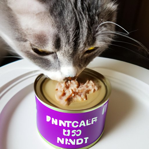 Portion Control When Feeding Your Cat Canned Food