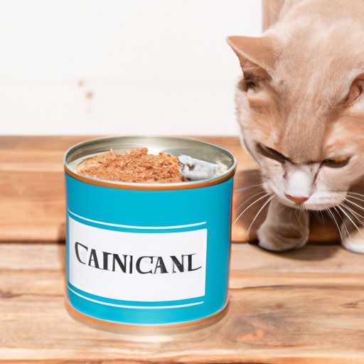 Transitioning Your Cat from Dry to Canned Food