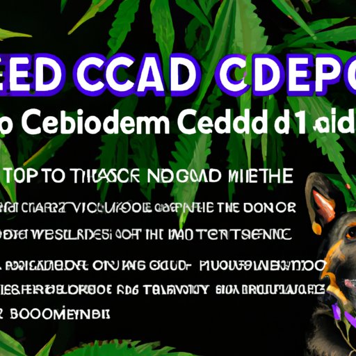 Essential Tips for Safely Administering CBD to Dogs