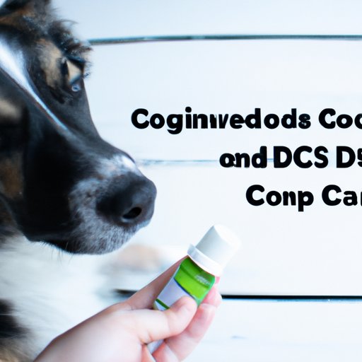The Pros and Cons of Giving CBD to Your Dog