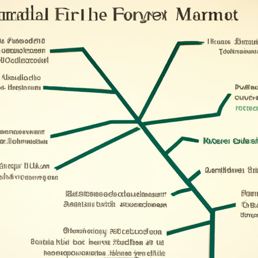 Examining the Career Paths of Finance Majors