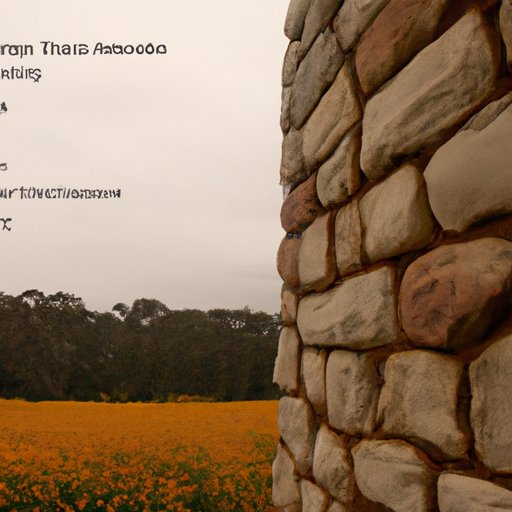 Analyzing the Average Salary of Wellness Coaches Across the Country