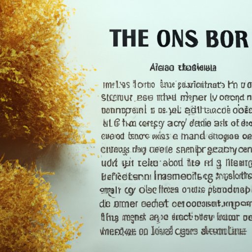 The Pros and Cons of a Home Birth: What You Need to Know About the Cost