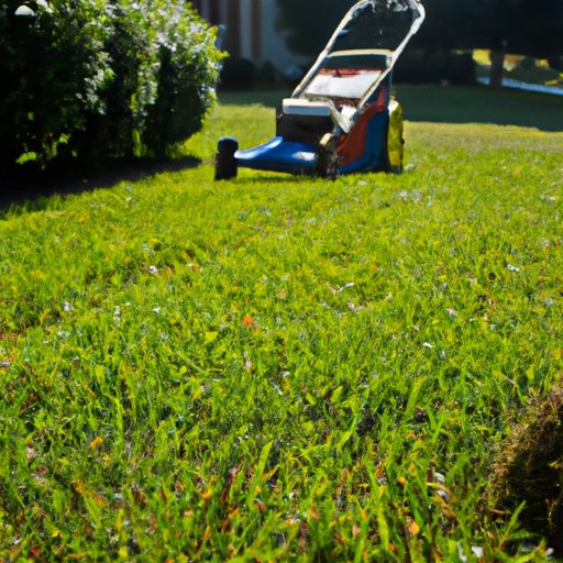 Examine Factors that Effect the Cost of Lawn Services