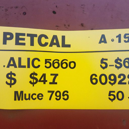 The Average Price Tag on Owning a Pitbull