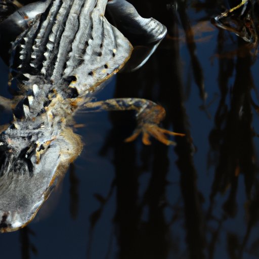 Investigate the Economic Impact of Alligator Hunting on Local Economies