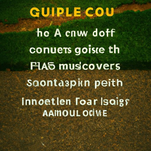 A Guide to Understanding the Cost of an Appraisal