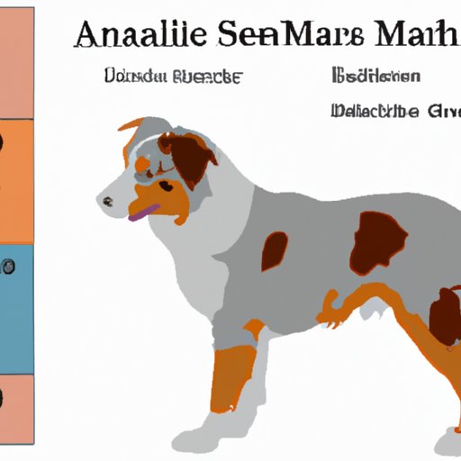 Exploring the Average Price of an Australian Shepherd Puppy in Different Regions