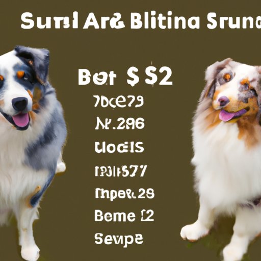Comparing the Costs of Purchasing an Australian Shepherd from Different Sources