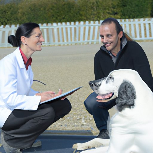 Interview with a Professional Dog Breeder