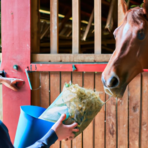 What to Consider When Calculating the Cost of Feeding a Horse
