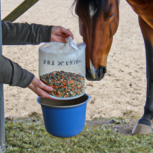 How to Cut Costs While Feeding a Horse