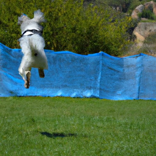 Overview of the Cost of Flying a Dog