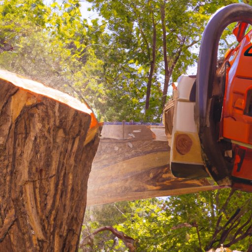 Cost Breakdown of Tree Removal Services