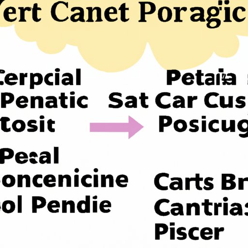 What Factors Impact the Cost of Pet Scans and How to Find Affordable Care