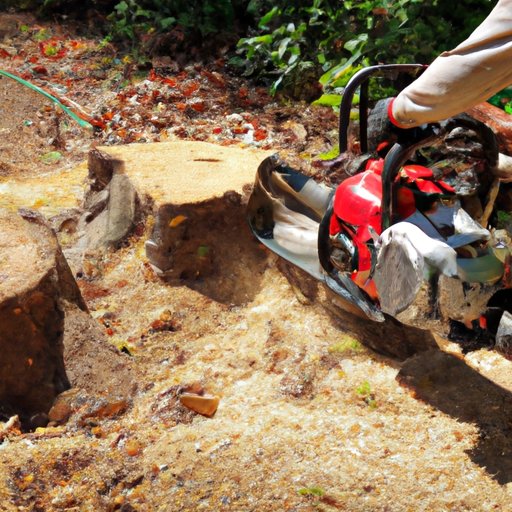 Reasons to Invest in Professional Stump Grinding Services