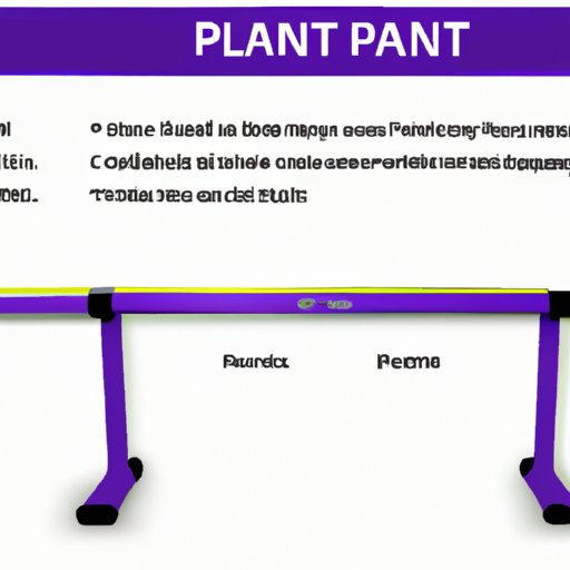 A Comprehensive Guide to Understanding the Weight of a Planet Fitness Bar