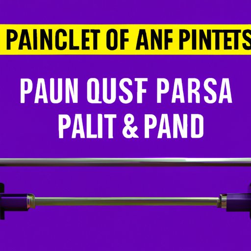 What You Need to Know About the Weight of a Planet Fitness Bar