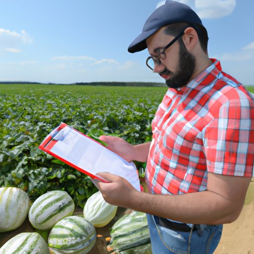 Examining How Weather Conditions Affect Watermelon Prices