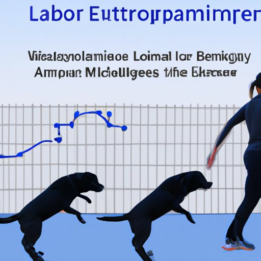 Examining the Physical and Mental Benefits of Exercise for Labs