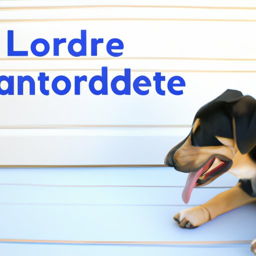 Exploring the Risks and Benefits of Loratadine for Dogs