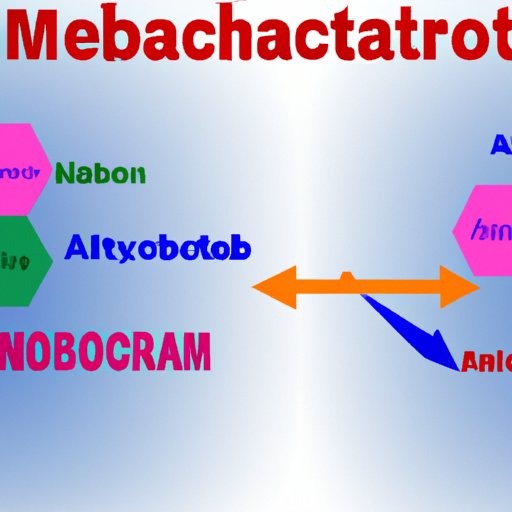 Interactions Between Methocarbamol and Other Medications