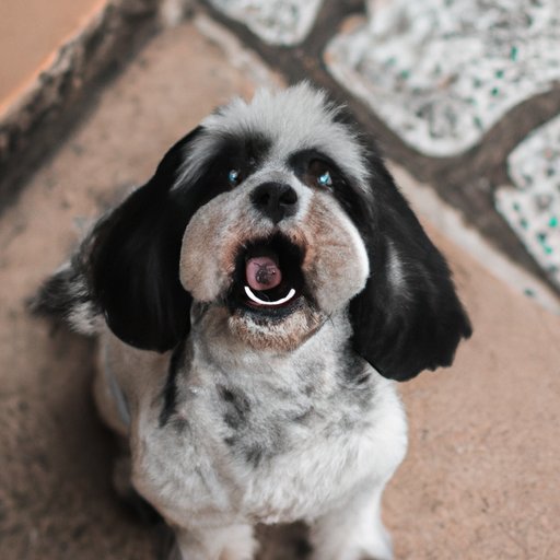 Understanding the Risks of Overdosing on Pepcid for Dogs