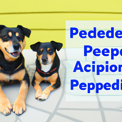 What You Need to Know About Administering Pepcid to Dogs