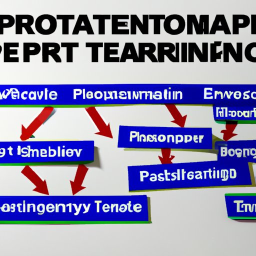 Exploring the Different Levels of Physical Therapy Education