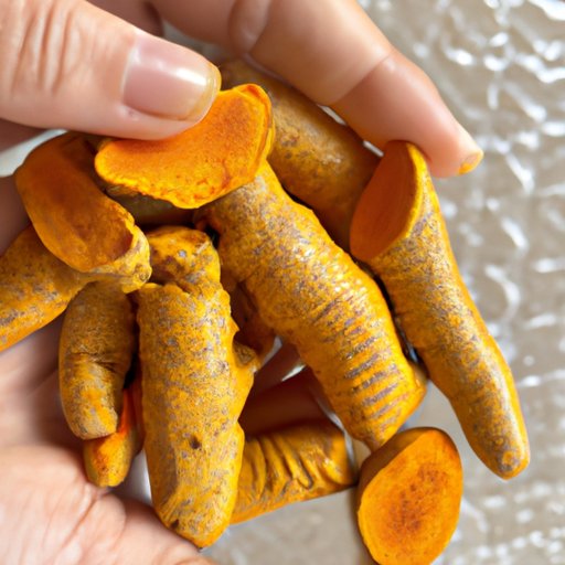 Exploring the Benefits of Giving Turmeric to Dogs