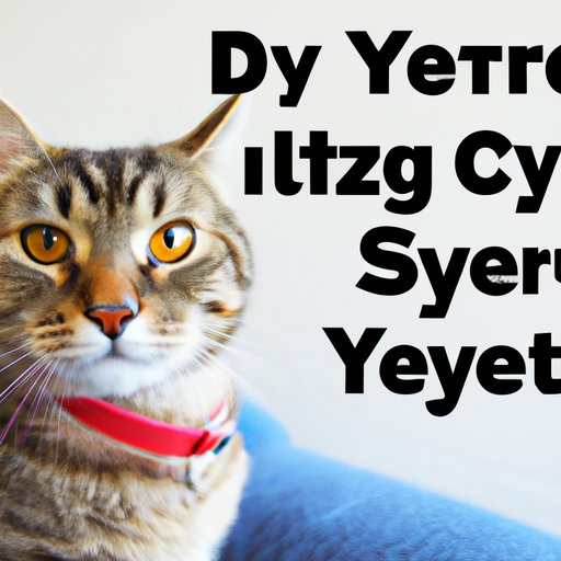 What to Know Before Giving Your Cat Zyrtec