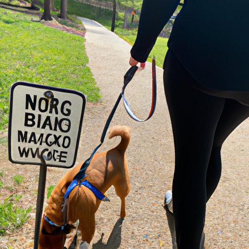 Exploring the Legal Requirements for Dog Walking