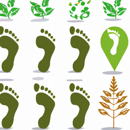 Assessing the Role of Technology in Reducing Environmental Footprints