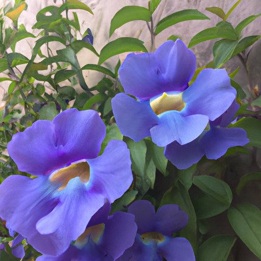 Find Friends Who Also Enjoy Being Wallflowers