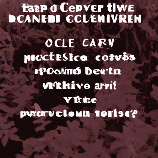 Join an Online or Local Coven