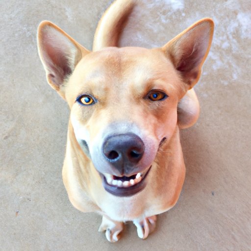 Make Eye Contact and Smile