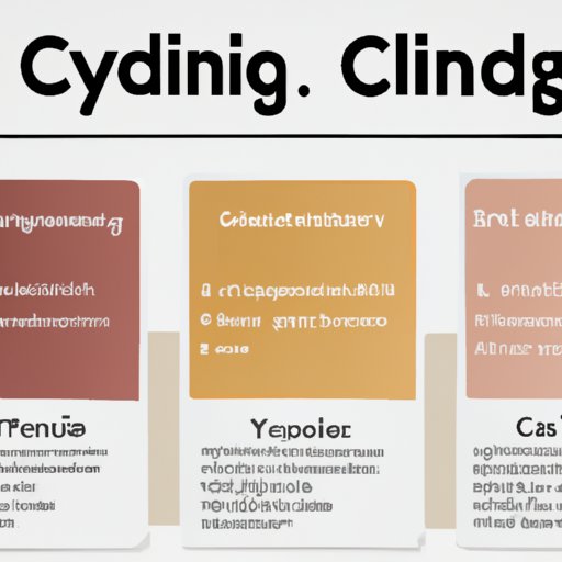 Identify Learning Styles and Curriculum Options