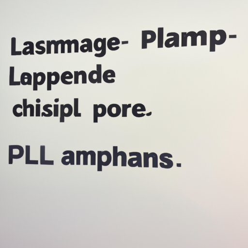 Understand the Basics of Programming Languages