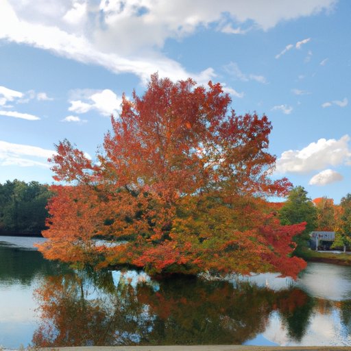 Best Times of Year to Visit