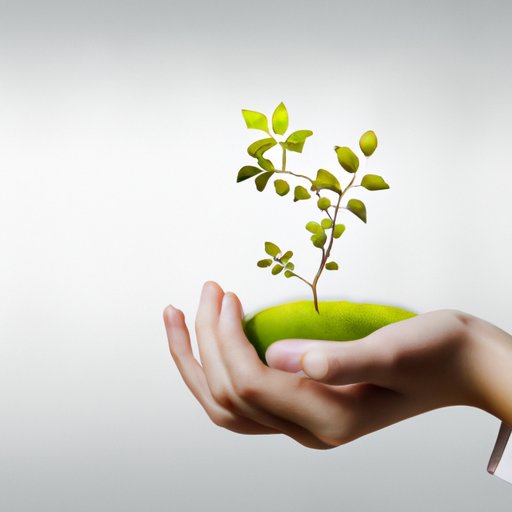 Provide Opportunities for Growth and Development