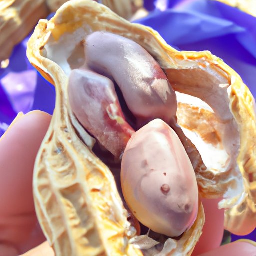 How to Enjoy the Deliciousness of Boiled Peanuts