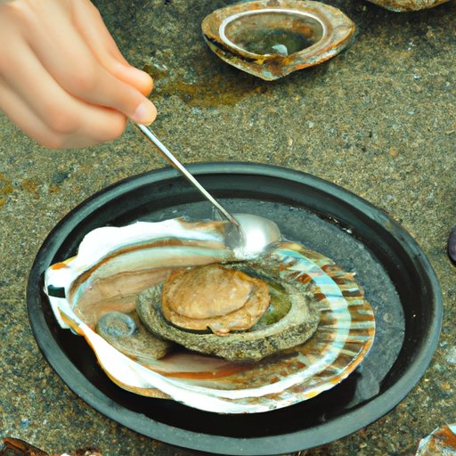 Pick Out the Meat from the Shells