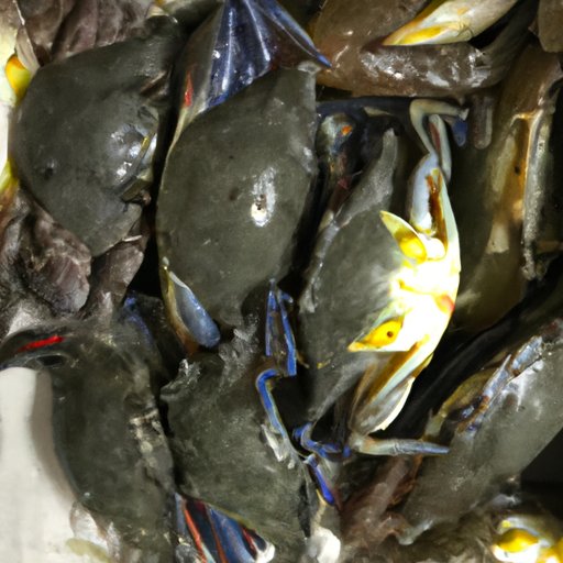 Identify the Best Soft Shell Crabs to Purchase