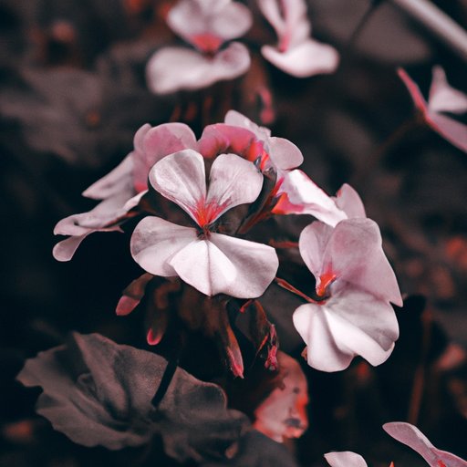 Use a Matte Filter to Create a Faded Look