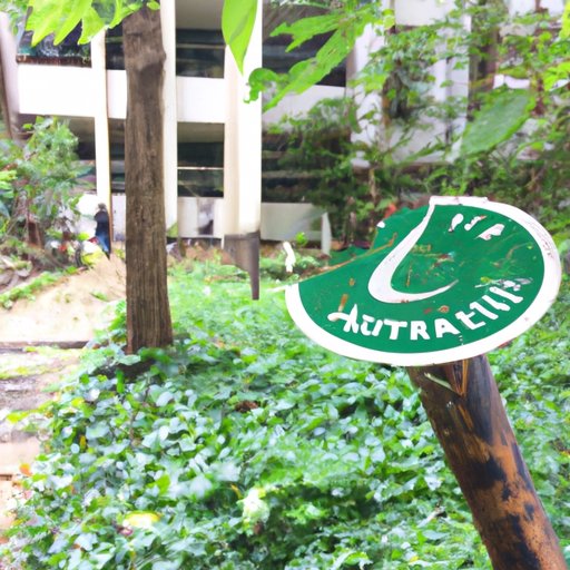 Consider Attending a University With an Environmental Science Department