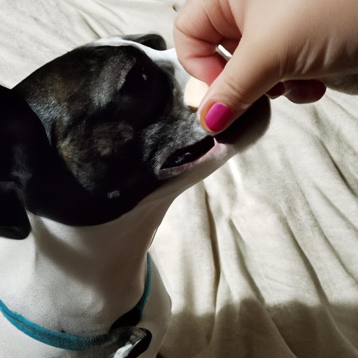 Using Treats as Rewards for Eating