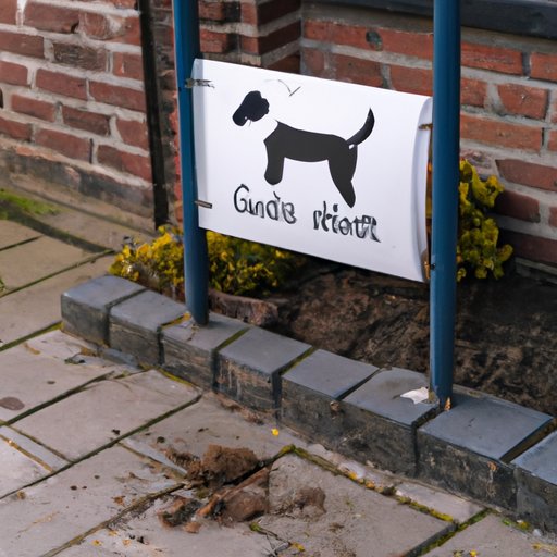 Clean Up After Your Dog